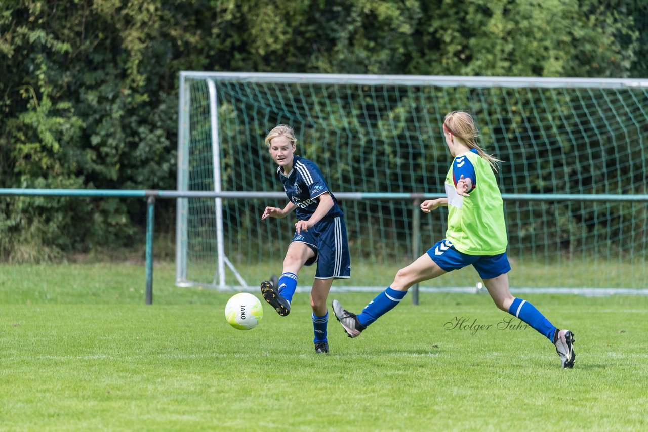 Bild 313 - B-Juniorinnen VfL Pinneberg - HSV : Ergebnis: 1:4